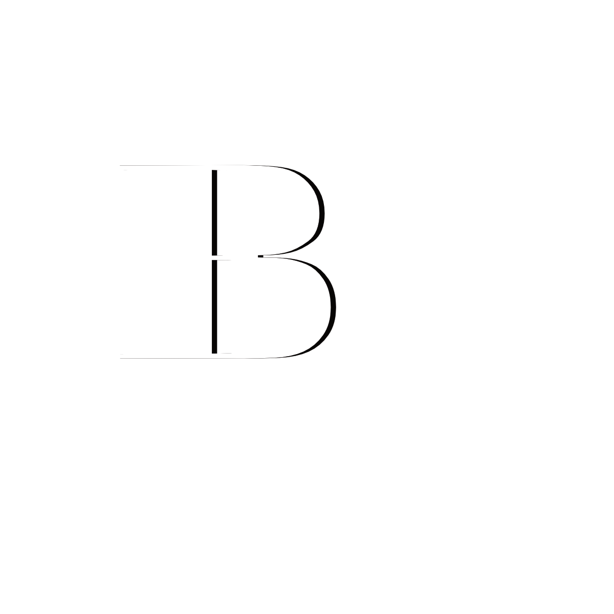 BH Media